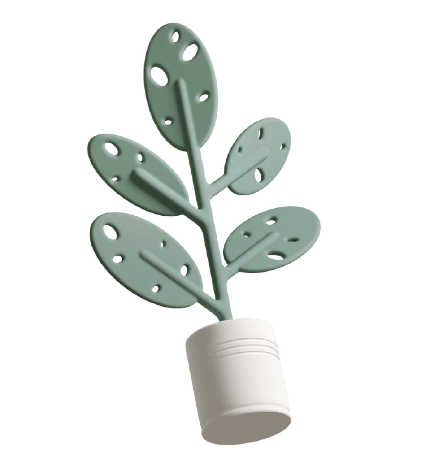 Plant and seedlings